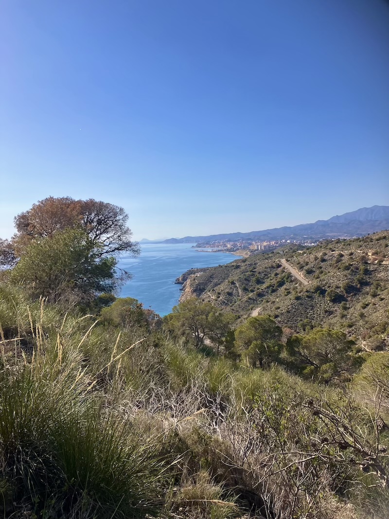 Linda Wessels Coaching