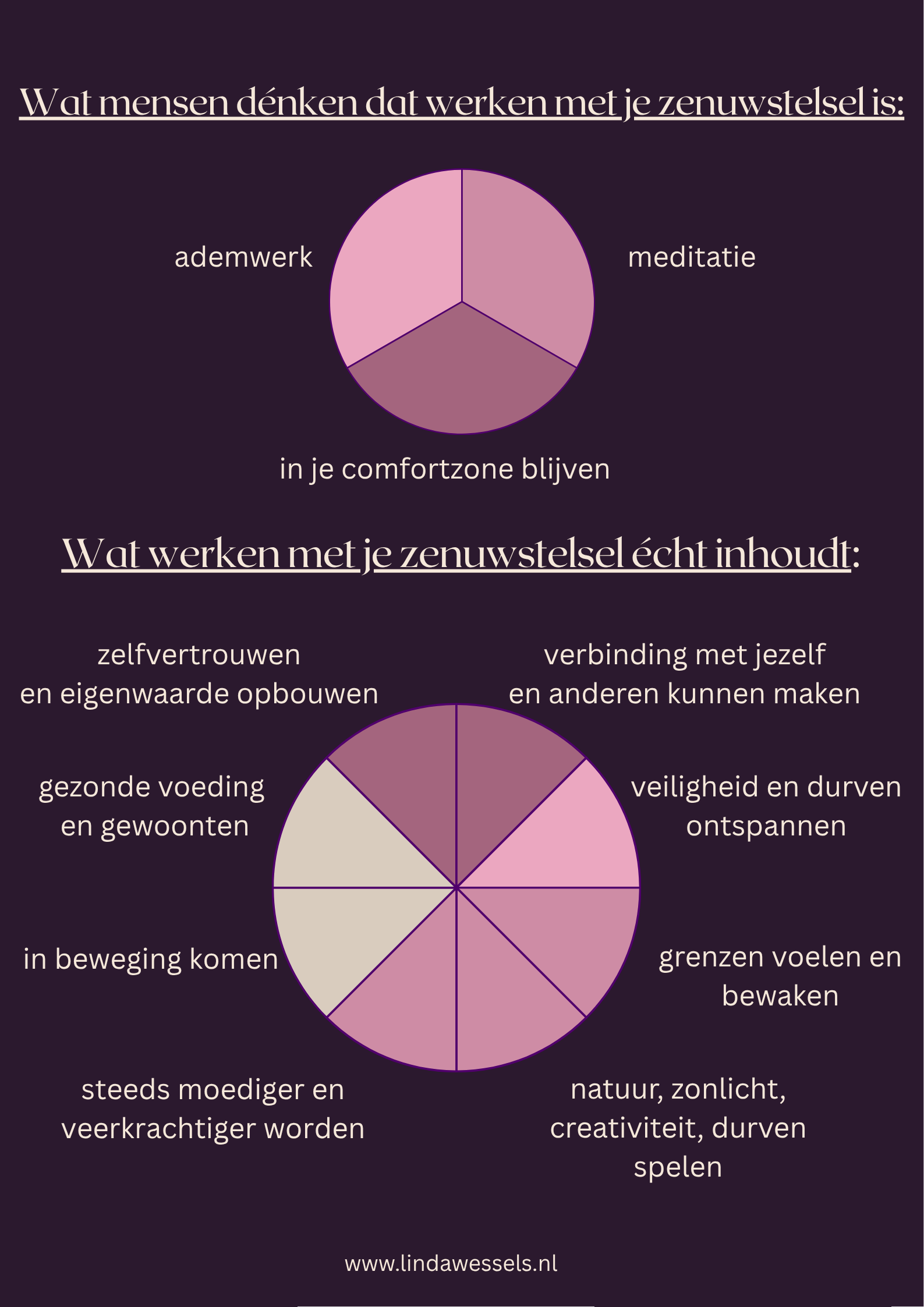 Polyvagaal theorie