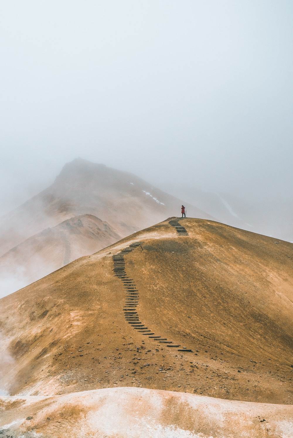 alexander-milo-HwxVLhLyg2s-unsplash
